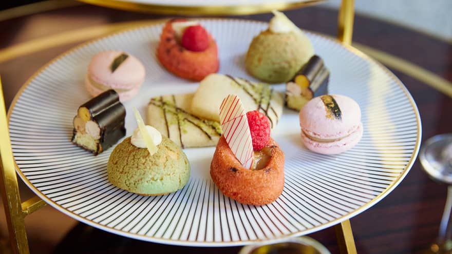 An assortment of petite desserts on a tray.