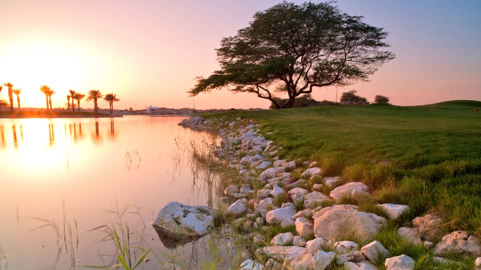 A rocky bank with several small trees lining it.