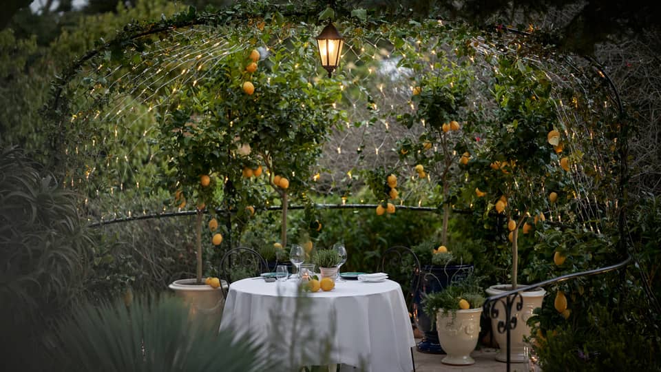 Looking into a secret garden with a table covered in a white cloth placed in the middle of it, orange flowers and green leaves are all around.
