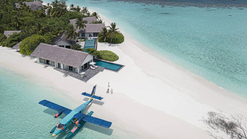 FS Voavah Flying Trigger Fish Arrival