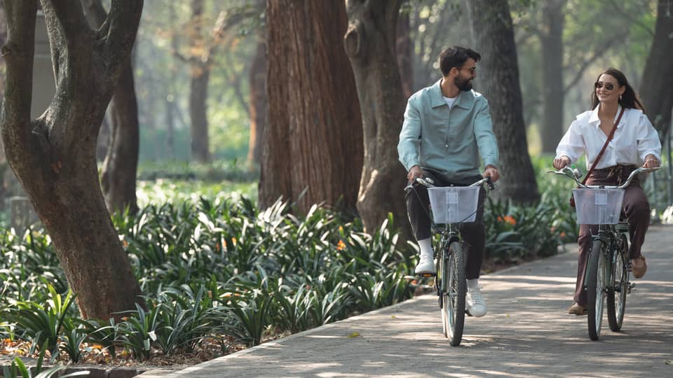 Two people ride bicycles down a tree-lined street.