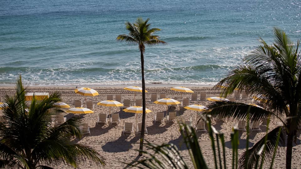 Umbrellas at the beach