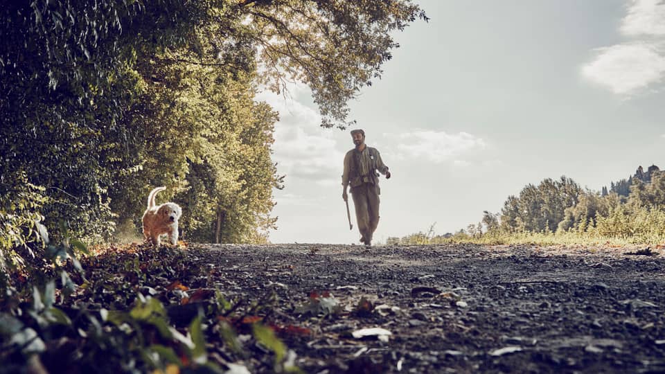 Man walks dog along tree-lined trail on country road