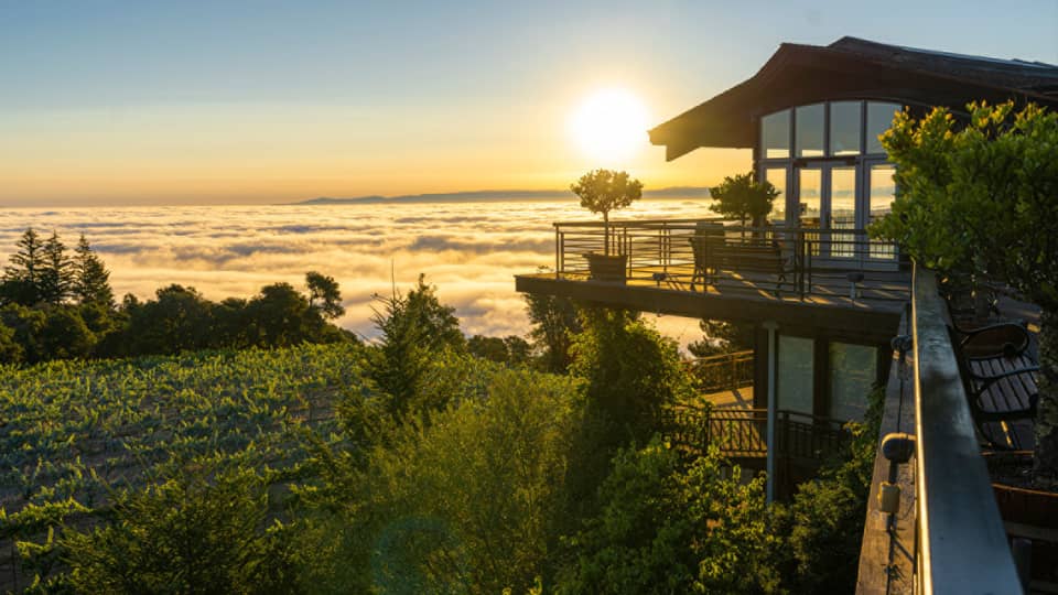 Two-story house surrounded by trees and the ocean with a sunrise.