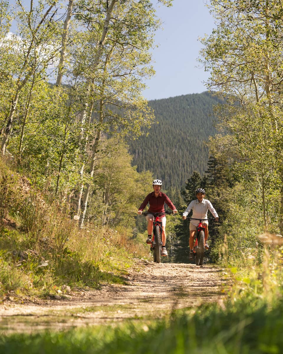 Two people biking down a trail surrounded by thin trees.