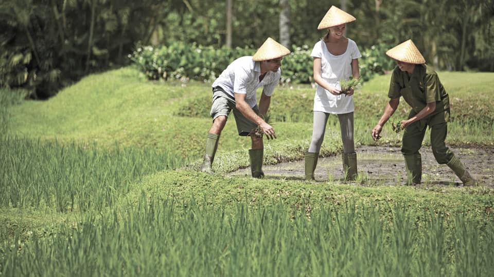 Man and woman in straw farmers hats kneel over garden, help gardener in rice paddie field