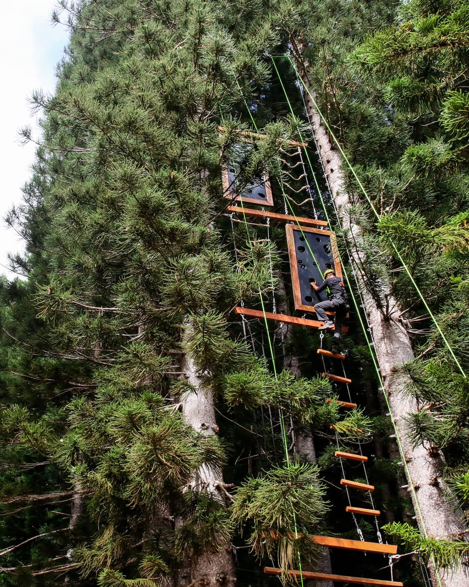 View from below of a climber gripping a plank by an open handhold on a vertical obstacle course in a dense pine forest.