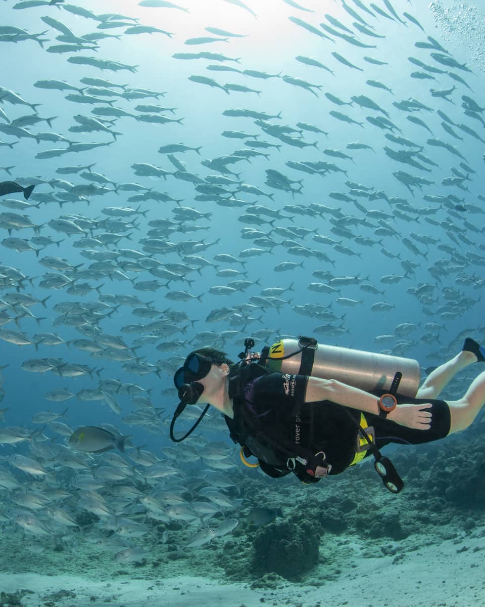 Scuba diver swims underwater net to pool of fish