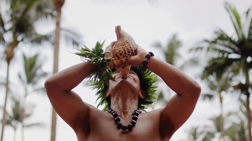 Hawaiian man wearing traditional necklace and headpiece blows in a conch shell