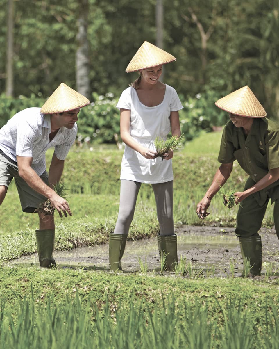 Man and woman in straw farmers hats kneel over garden, help gardener in rice paddie field