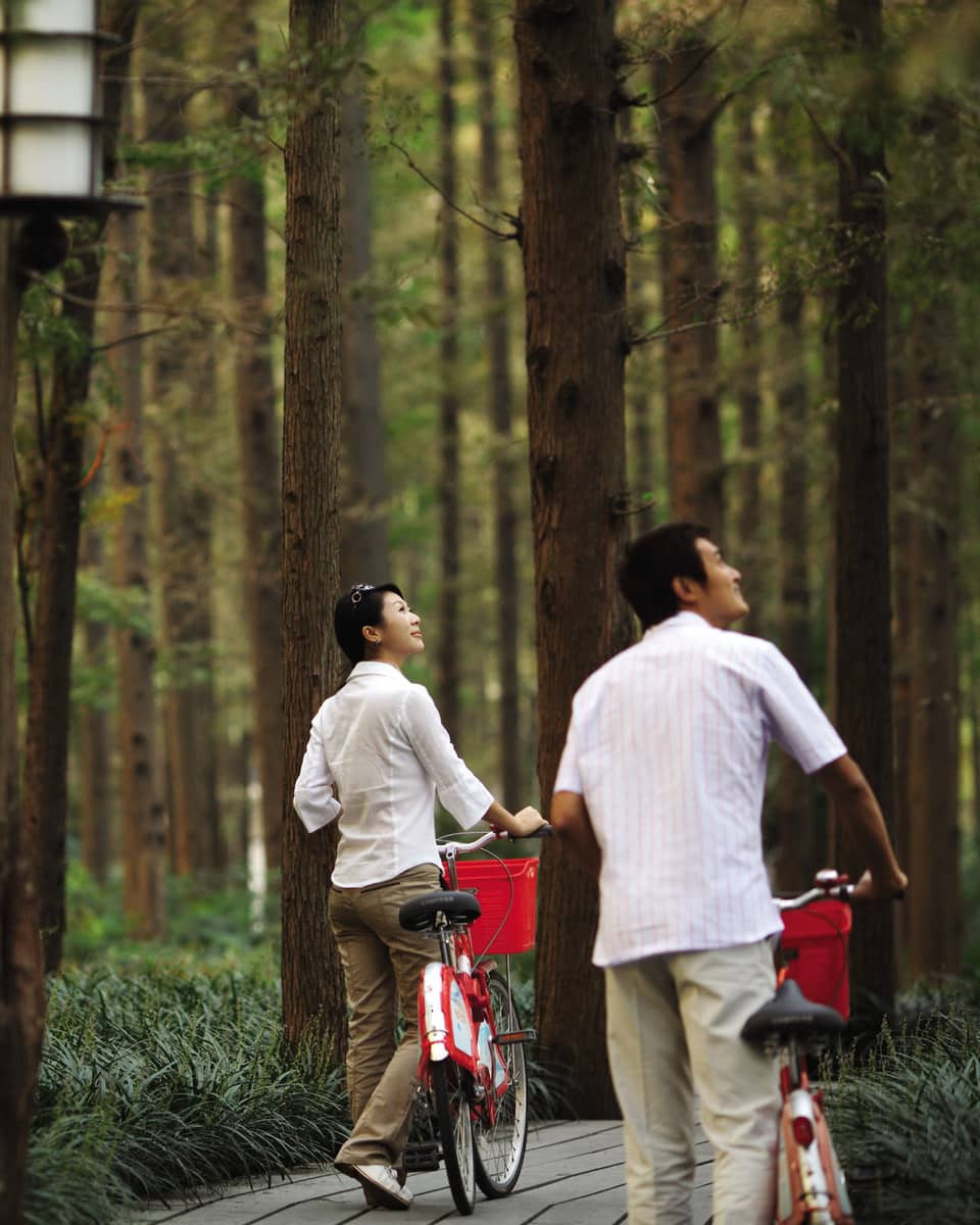 Couple walks bicycles through forest nature trail, looks up at trees