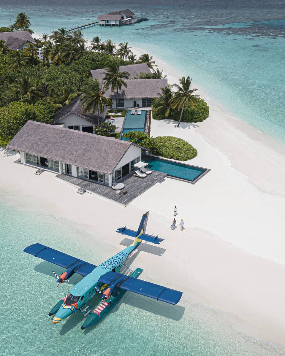 FS Voavah Flying Trigger Fish Arrival
