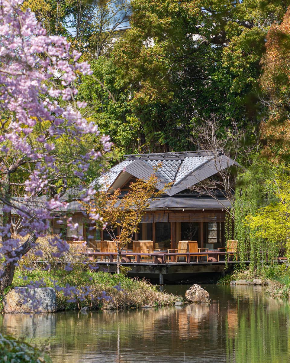 Overwater building in spring framed by blooming cherry blossoms