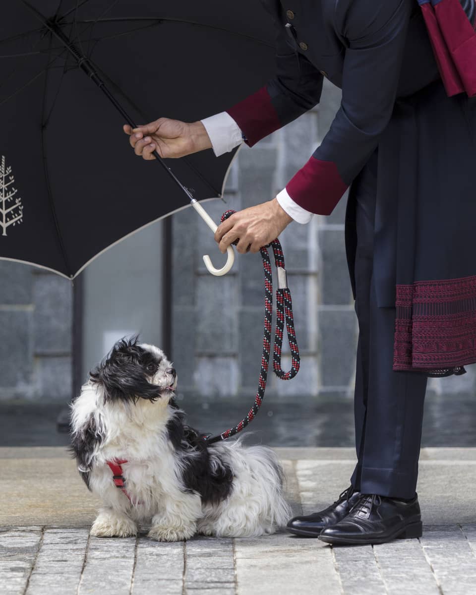 Doorman at Four Seasons Hotel Bengaluru holds a black Four Seasons umbrella over a small black and white dog